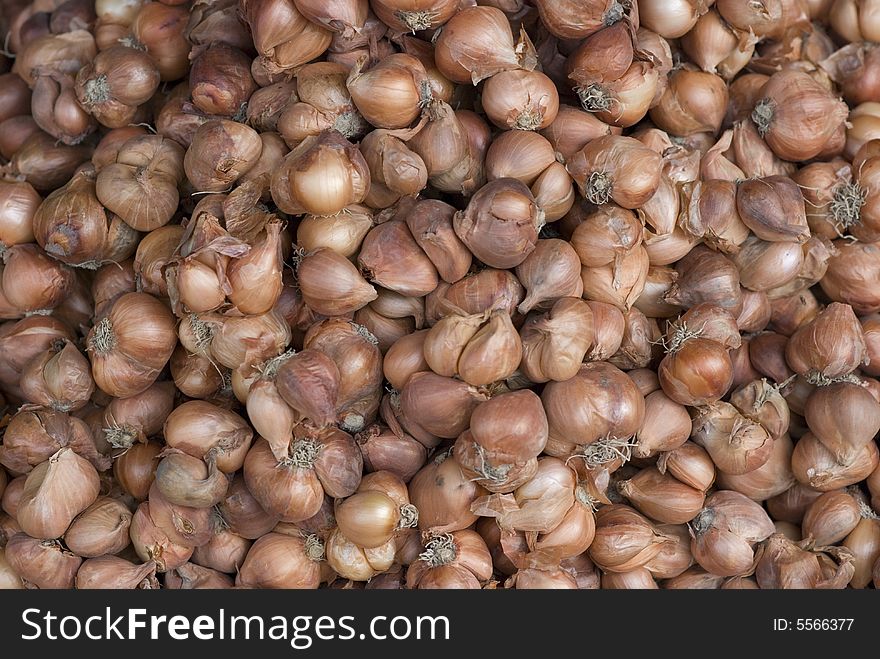 Shallot Background Abstract