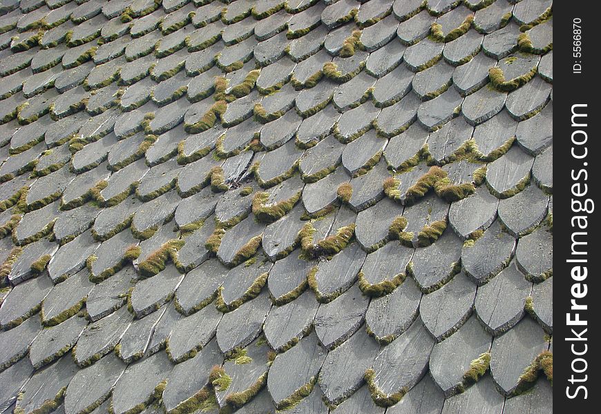 Old tile roof covered by a moss on a building