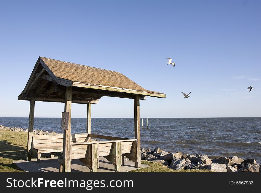 Seagulls flying around a beach shelter and benches on a rocky shore. Seagulls flying around a beach shelter and benches on a rocky shore