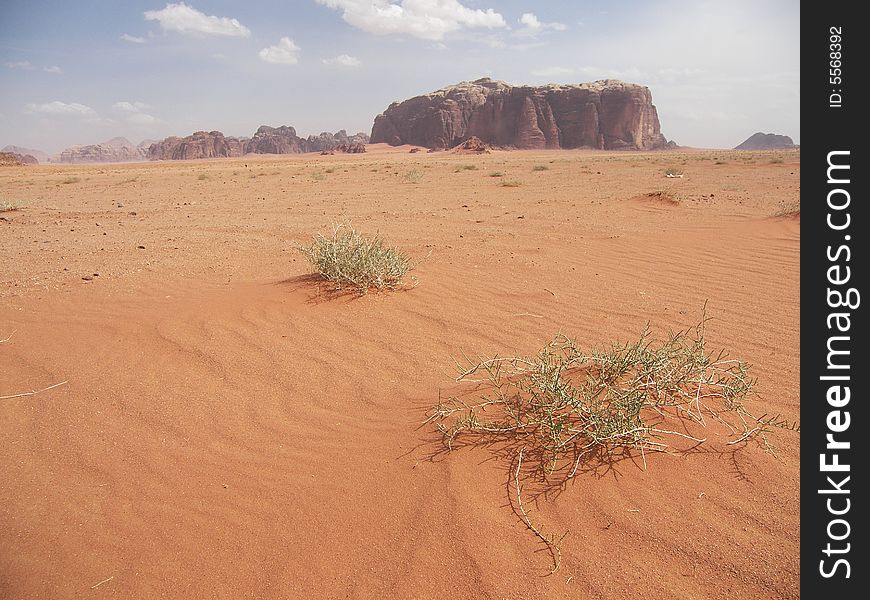 View on desert Wadu Rum, Jordan. View on desert Wadu Rum, Jordan