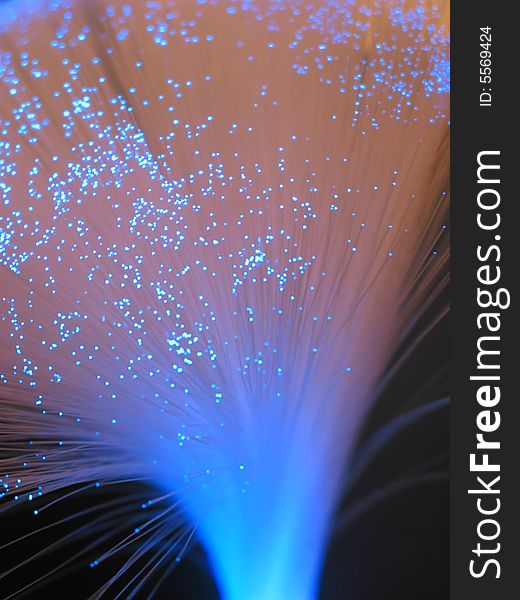 Optical fibers shining in the dark