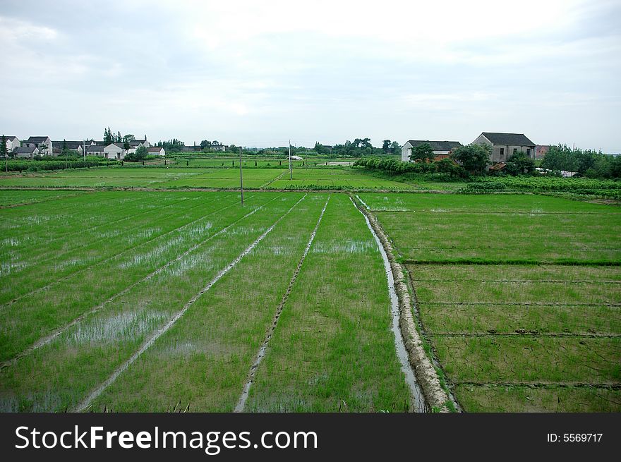 Picturesque summer landscape of countryside