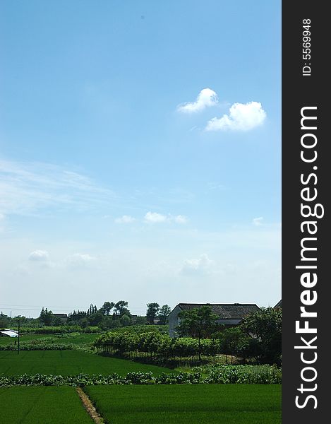 The farm house in the harvested fields, Taken in china.