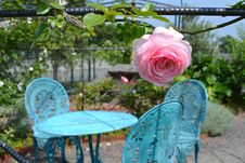 Rose And Bench Royalty Free Stock Photo Rose And Bench Royalty Free Stock Photo