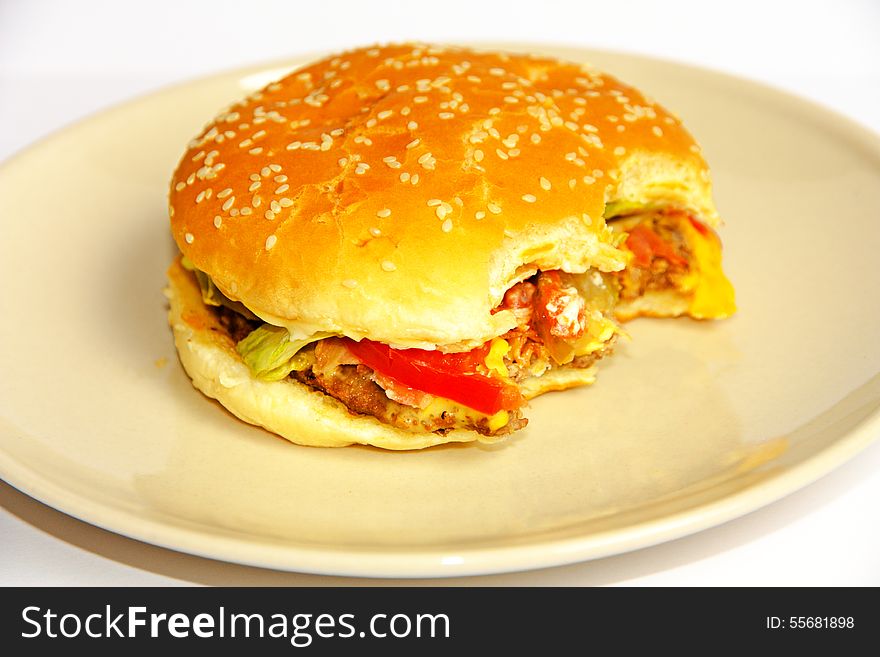 Tasty hamburger on a plate