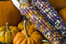 Autumn Still Life Stock Images Autumn Still Life Stock Images