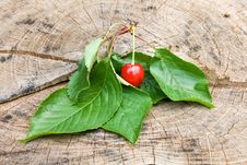 Cherry Royalty Free Stock Image Cherry Royalty Free Stock Image