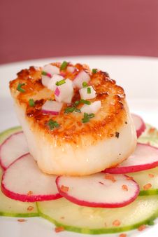 Seared Scallop On A Salad Of Cucumber And Radish Royalty Free Stock Images
