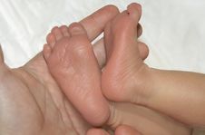 Leg Of The Newborn Child In Caring Hands Stock Image Leg Of The Newborn Child In Caring Hands Stock Image