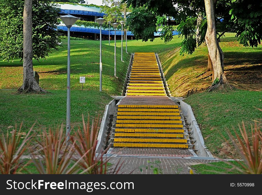 Stair case and tre in the parks