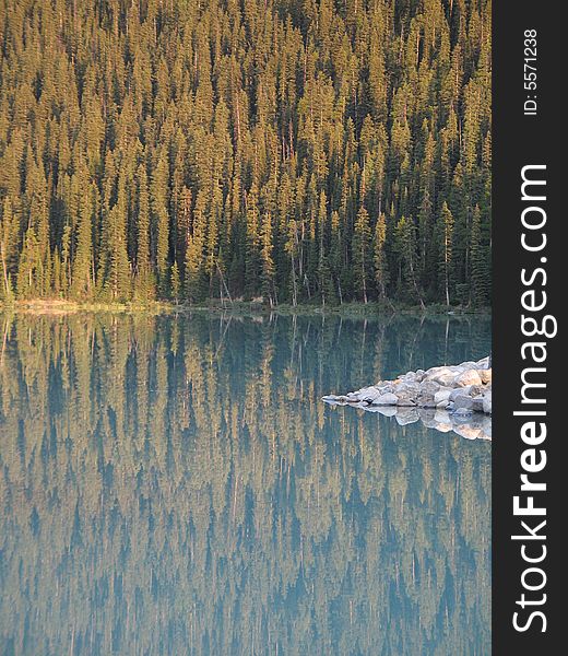 A calm and peaceful forest reflecting in a lake. A calm and peaceful forest reflecting in a lake