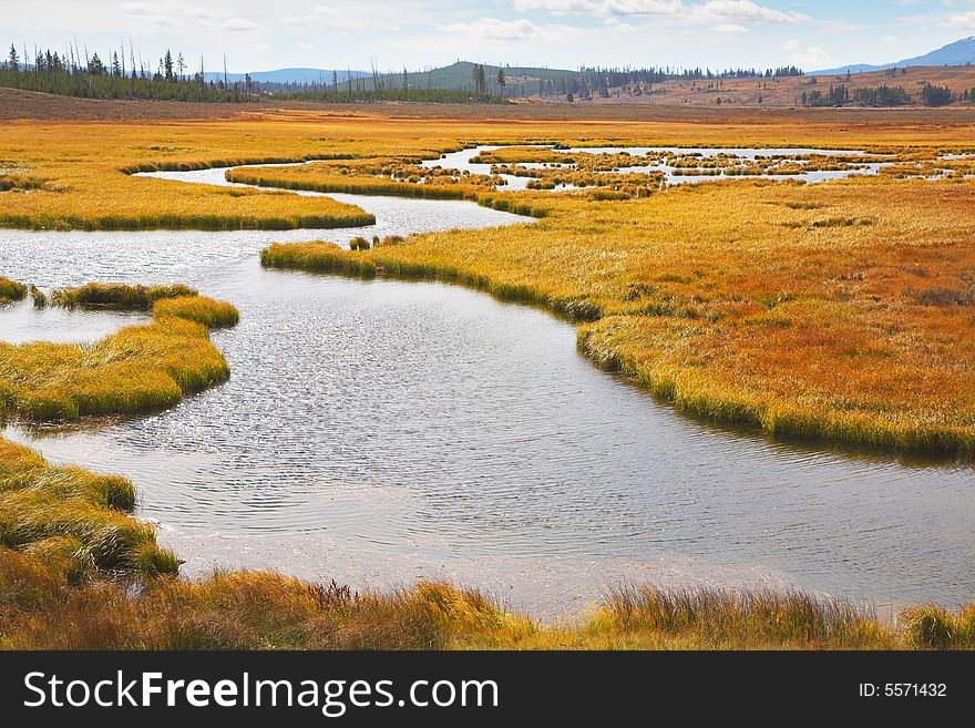 Twisting small stream on flat marshy plain