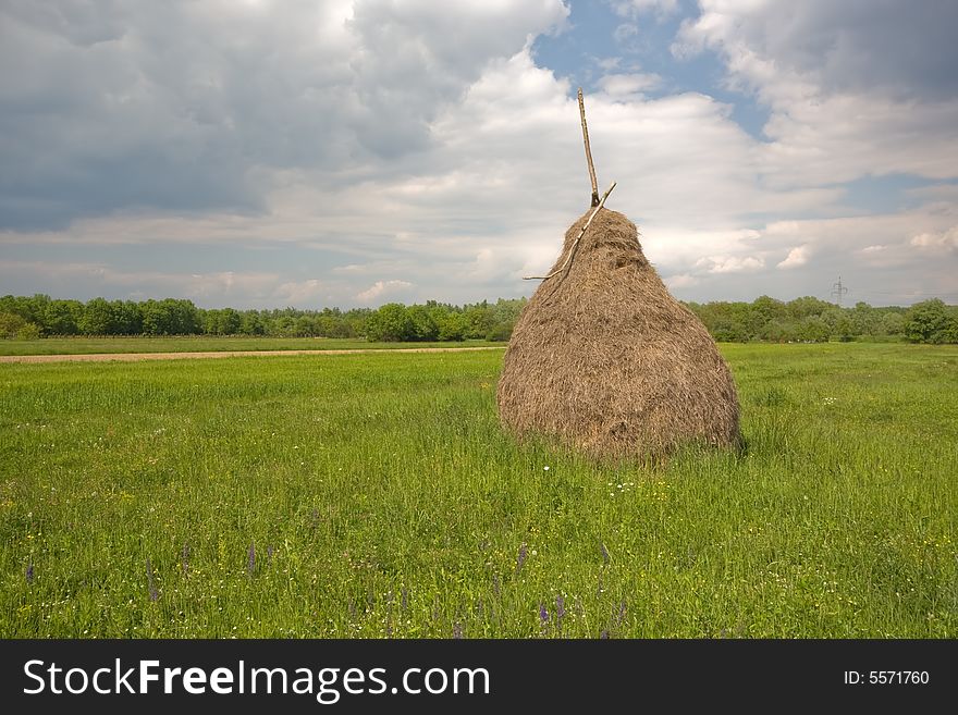 Hay pile in the meadow