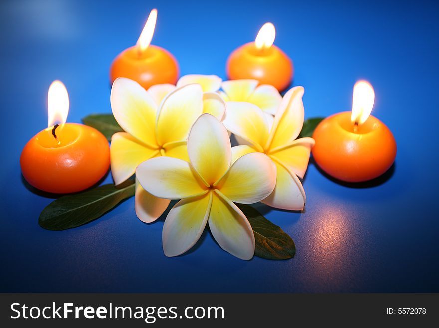 Tropical white flowers in surroundings orange candles on dark blue linen of spa salon