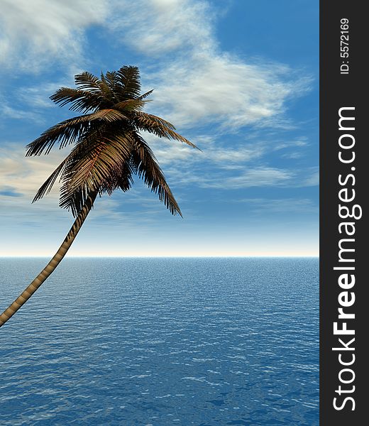 Coconut palm and blue sky with clouds