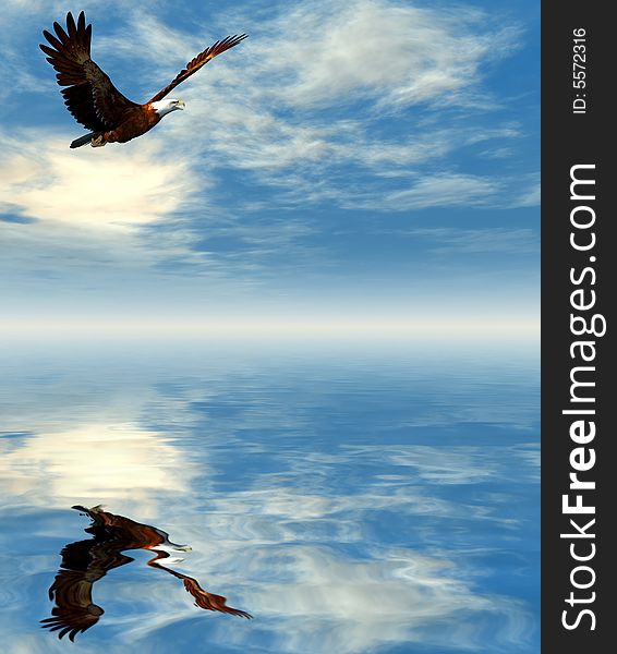 Eagle flying on a background of the dark blue sky