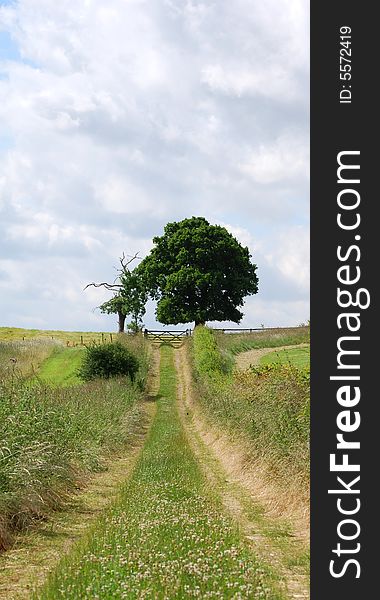 An uphill shot of a country path into farmland. An uphill shot of a country path into farmland