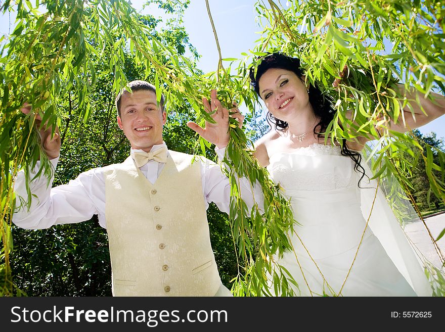Bride and groom in the branches of the tree. Bride and groom in the branches of the tree