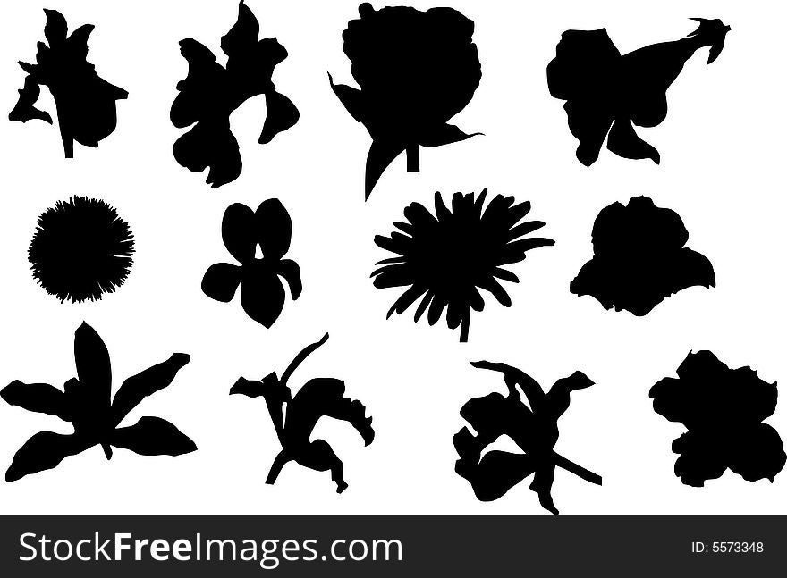 Illustration with collection of flowers silhouettes isolated on white background