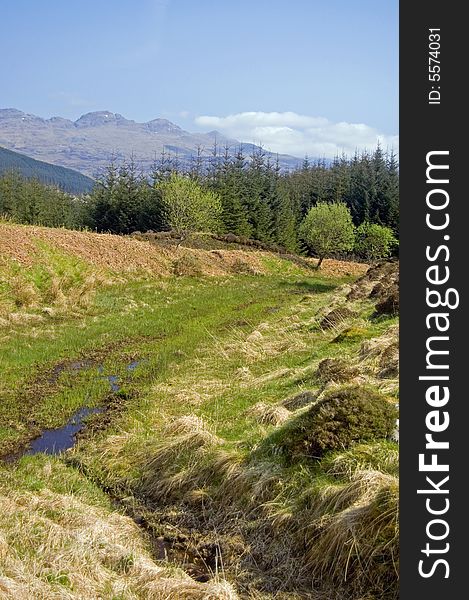 The scenery and greenery of glen ogle in scotland. The scenery and greenery of glen ogle in scotland