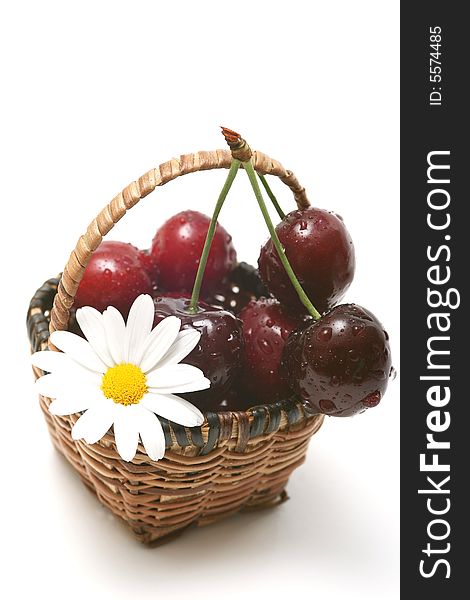 Cherry in a basket isolated on white with whith flower.