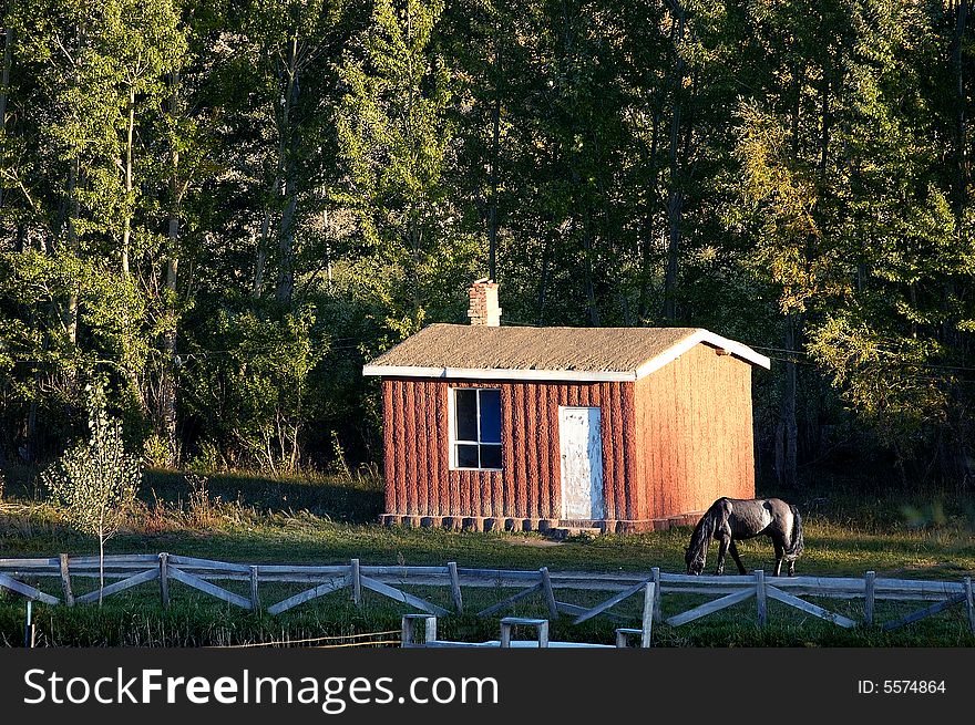 Countryside house and horse resting. Countryside house and horse resting