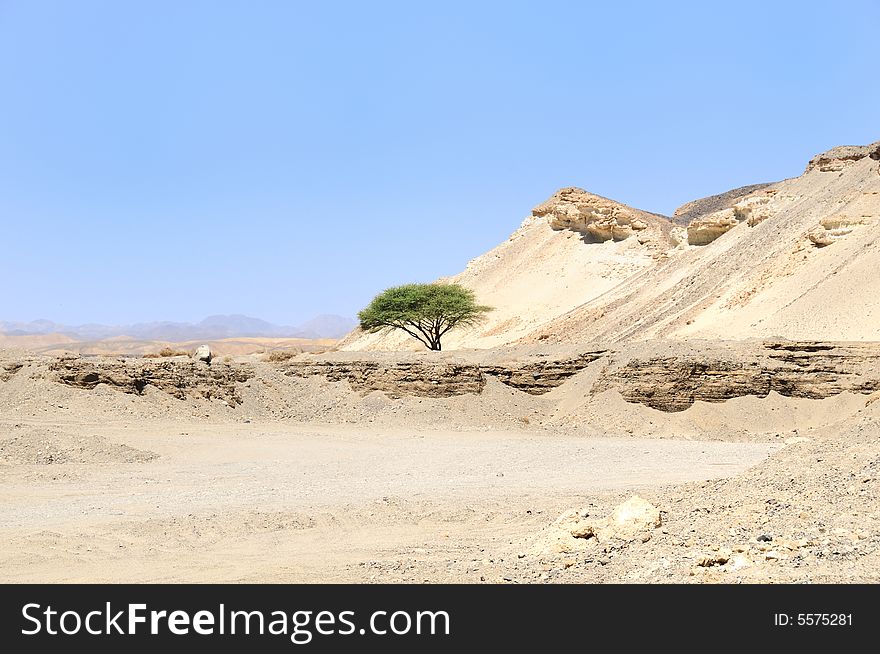 View Arabian Desert,