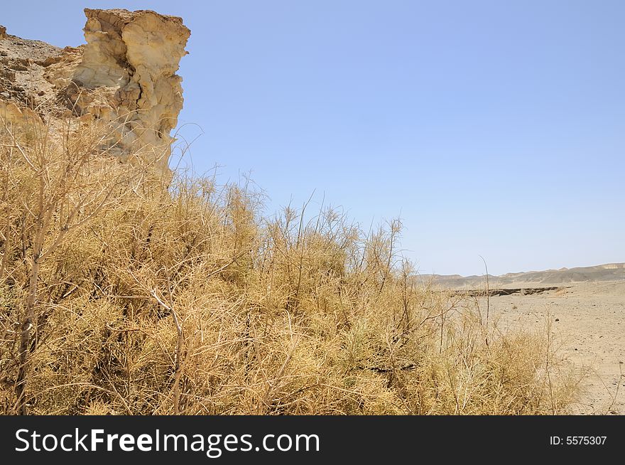 View Arabian Desert,