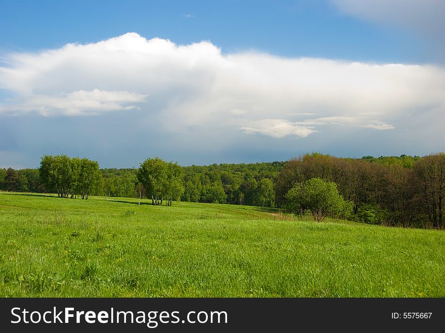 Green meadow and forest landscape with beautiful sky above