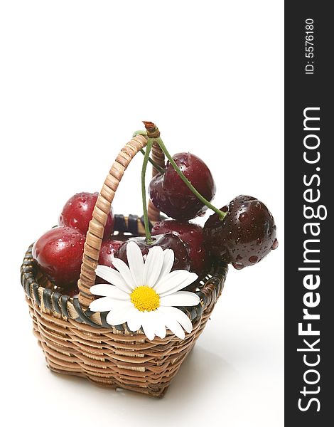 Cherry in a basket isolated on white with whith flower.