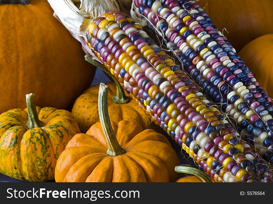 Autumn still life of Pumpkins and indian corn