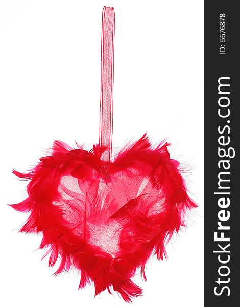 The decorative heart from feather. The decorative heart from feather.