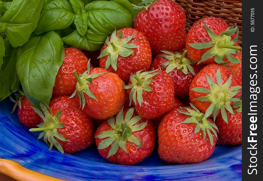A group of strawberries on blue plate.