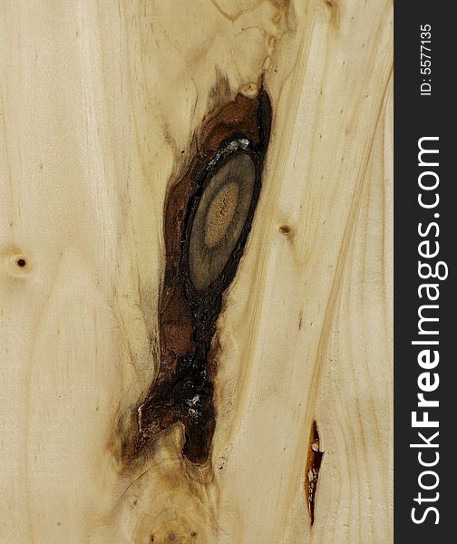 A wood texture close-up. A wood texture close-up