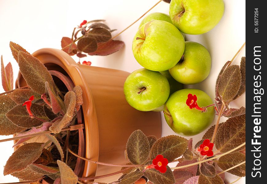 Green Apples Stacked Near Red Flowers & Brown Vase