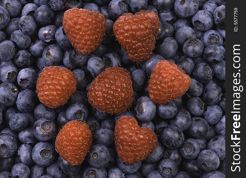 Close-up of raspberries on a background of blueberries. Close-up of raspberries on a background of blueberries