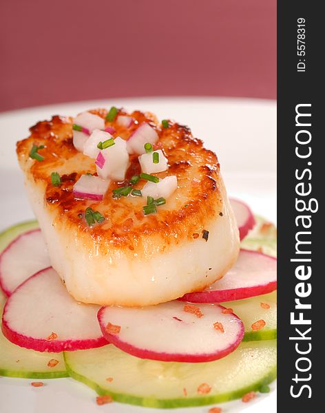 Seared scallop on a salad of cucumber and radish
