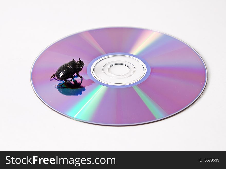 Data bug on compact disc