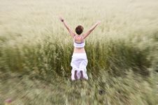 Jumping In Meadow Stock Images