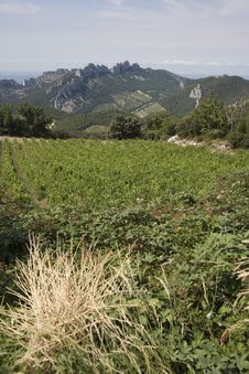 Provence Stock Photo Provence Stock Photo