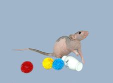 Mouse Playing Toys Royalty Free Stock Images Mouse Playing Toys Royalty Free Stock Images