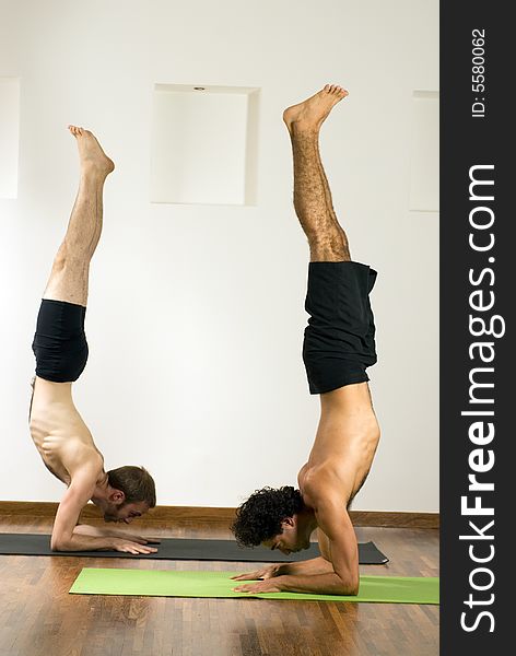 Two men performing a handstand on elbows, on mats on a hardwood floor. - vertically framed. Two men performing a handstand on elbows, on mats on a hardwood floor. - vertically framed