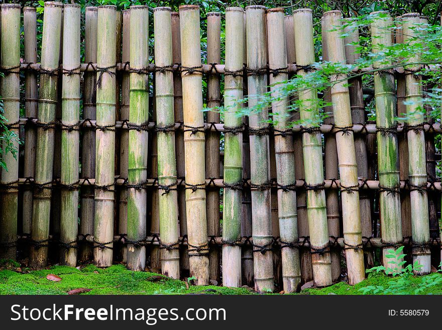 Japan, Kyoto, Bamboo Fence close-up.