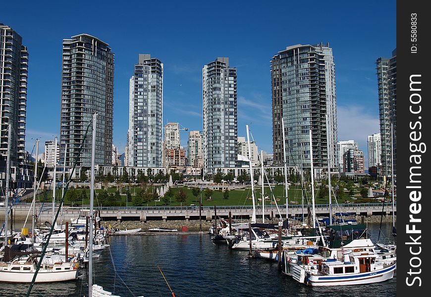 View of the city from the water. View of the city from the water