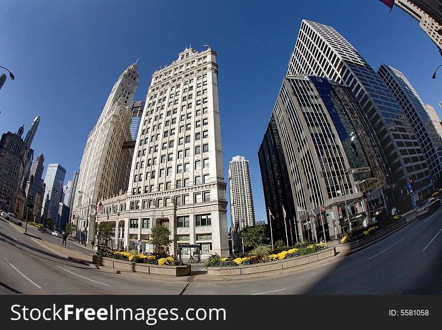 The skyscrapers of Chicago,Illinois,USA. The skyscrapers of Chicago,Illinois,USA