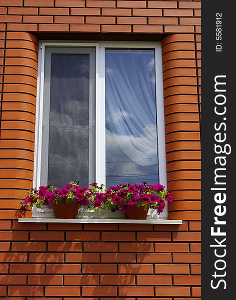 Windows of house with flowerpots on window-sills