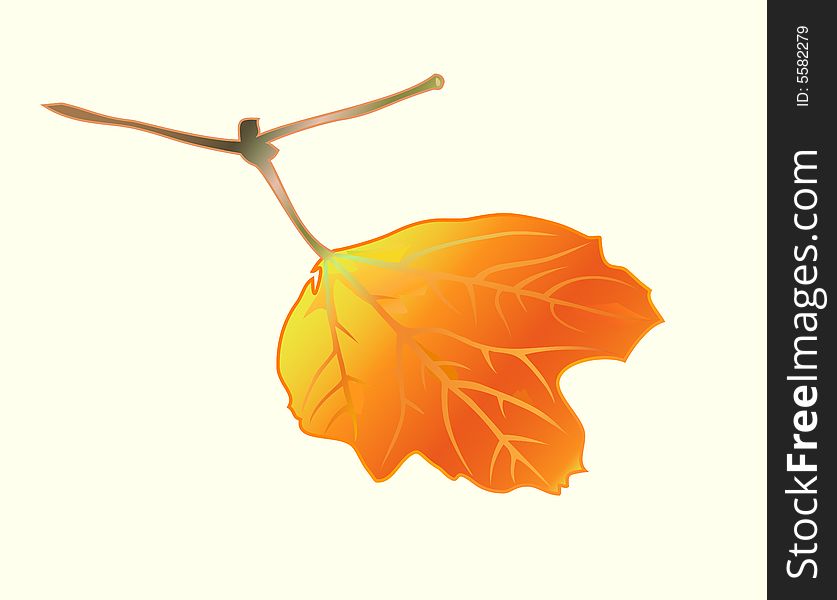 Ðutumnal Leaf