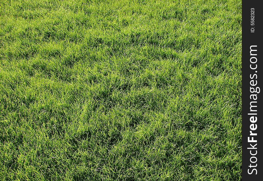 Background green lawn freshly mowed. Background green lawn freshly mowed