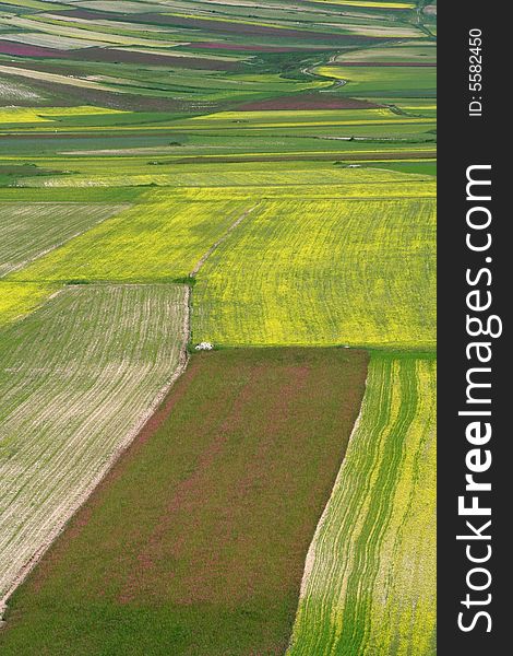 Summer landscape captured near Castelluccio di Norcia - Umbria - Italy. Summer landscape captured near Castelluccio di Norcia - Umbria - Italy