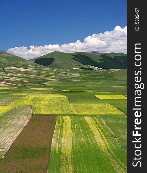 Summer landscape captured near Castelluccio di Norcia - Umbria - Italy. Summer landscape captured near Castelluccio di Norcia - Umbria - Italy